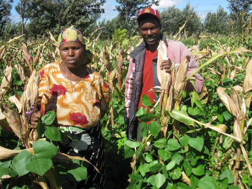 Networking and Partnership