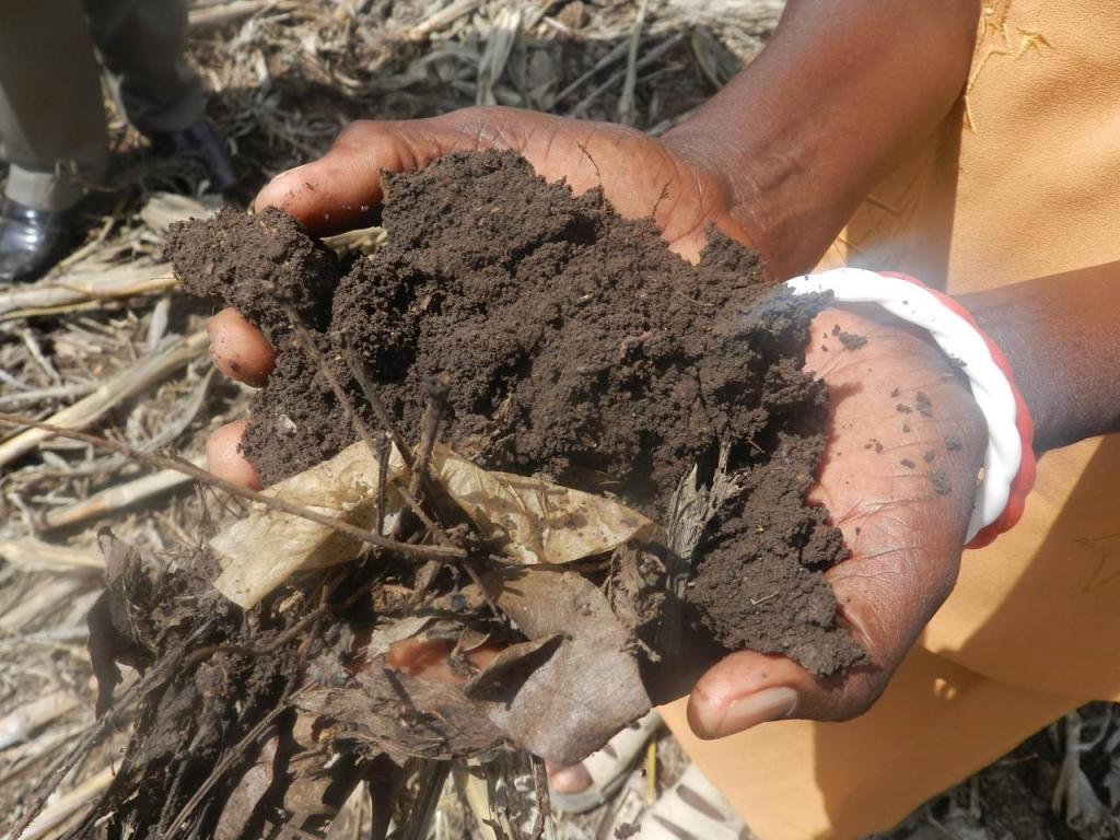Preserving the Soil and Reaping Greater Harvests