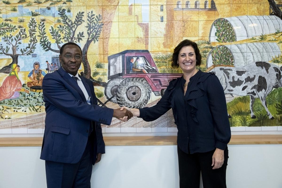 FAO and ACT Partnership Brief - Sustainable Mechanization Innovations