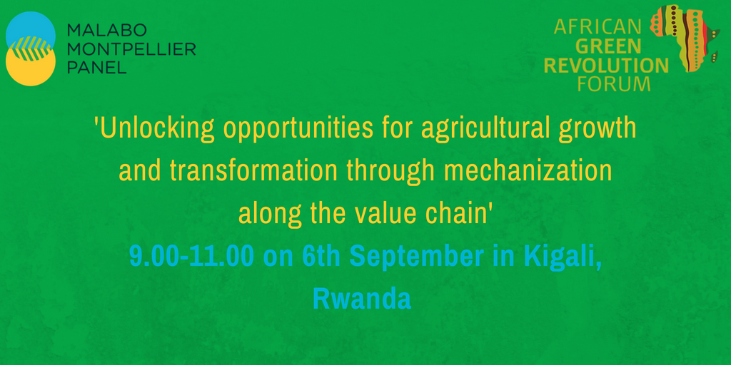 Unlocking opportunities for agricultural growth and transformation through mechanization along the value chain