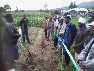  Host farmer (Anne Githinji, standing left) explains CA-Fodder pilot initiatives during the field day